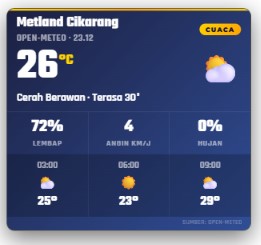 Contoh tampilan overlay Weather Card